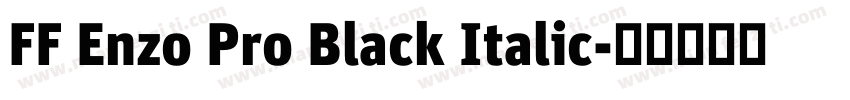 FF Enzo Pro Black Italic字体转换